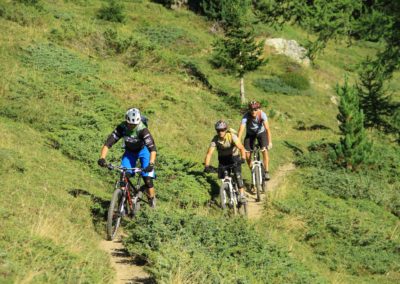 Treeline single Inspired - Inspired Mountain Bike Adventure